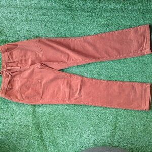 Katin Men's Pants in Rust